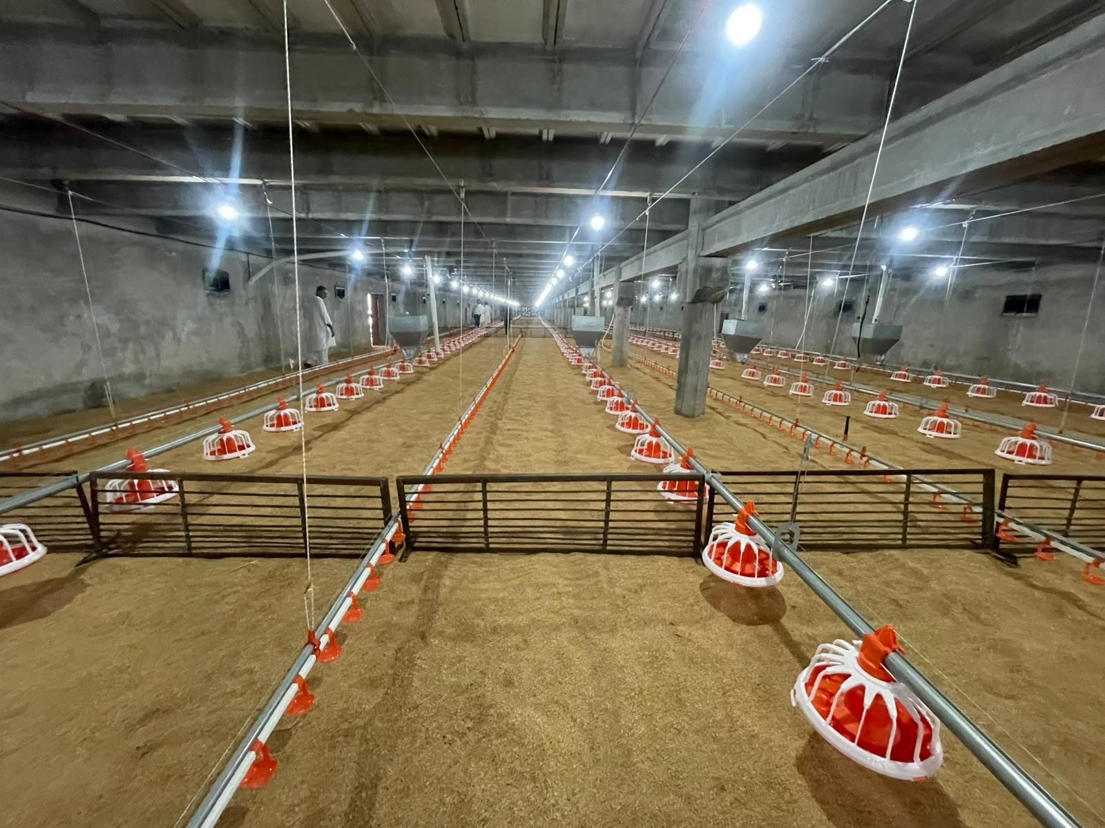 Al Meezab poultry farm